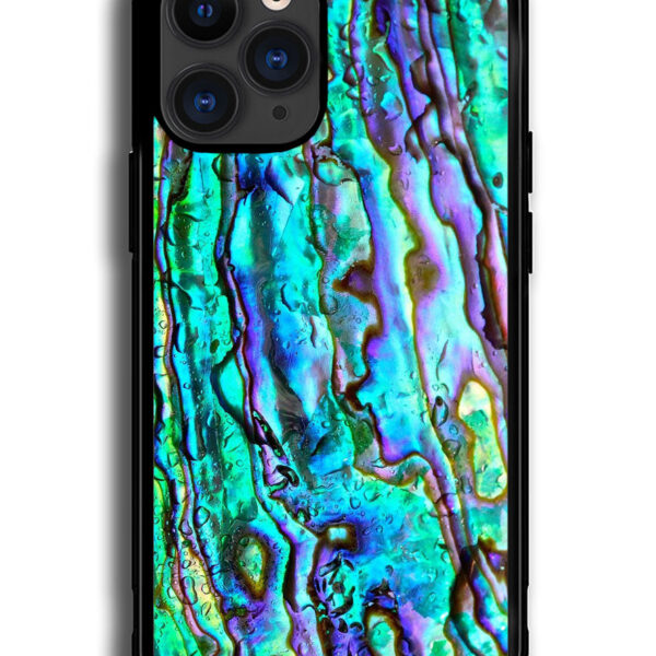 Abalone iPhone 13 Pro Case CT9795
