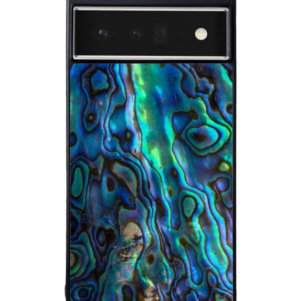 Abalone Shell Google Pixel 6 Pro Case CT1951