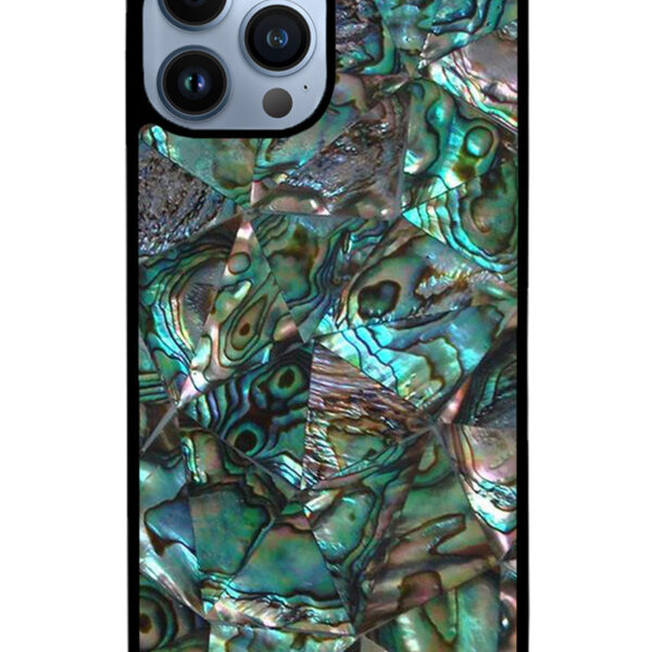 Crazy Pattern Abalone iPhone 13 Pro Case CT5739