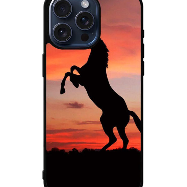 Horse Silhouette On Red Sunset iPhone 15 Pro Max Case CT1758