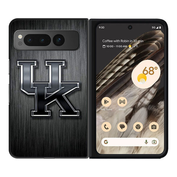 Kentucky Wildcat Sport UK Google Pixel Fold CT1814