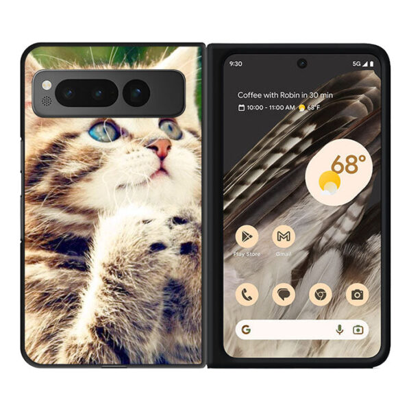 Prayer cat Google Pixel Fold CT0546
