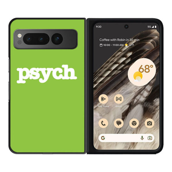 Psych Google Pixel Fold CT1273