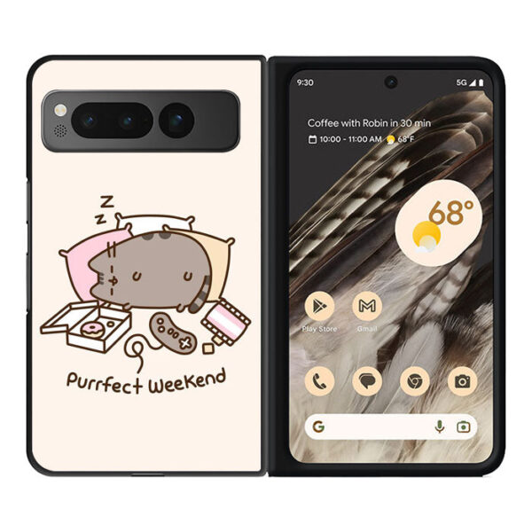 pusheen cat Google Pixel Fold CT0483